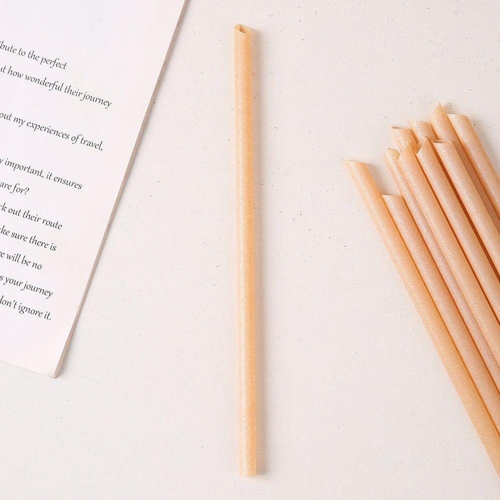 Sugarcane Fiber Straw - GREENBOXSTRAW