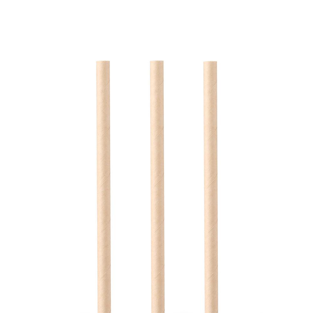Bamboo Paper Straw - GREENBOXSTRAW