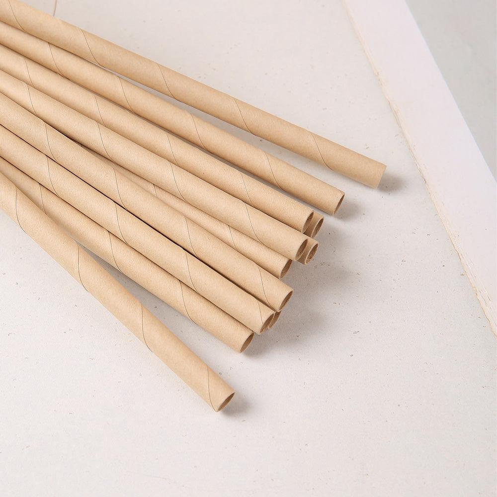 Bamboo Paper Straw - GREENBOXSTRAW