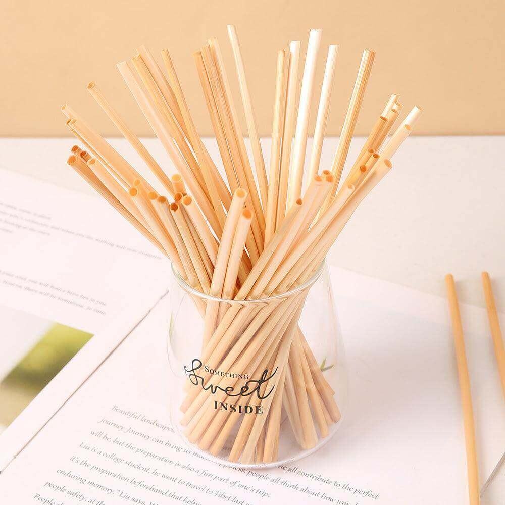Chock Straw Leading manufacturer of Eco-Friendly Drinking Straws – GREENBOXSTRAW